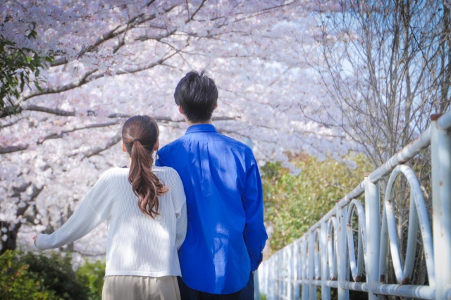 桜を見るカップル